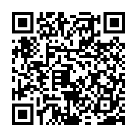QR code for FIE0729