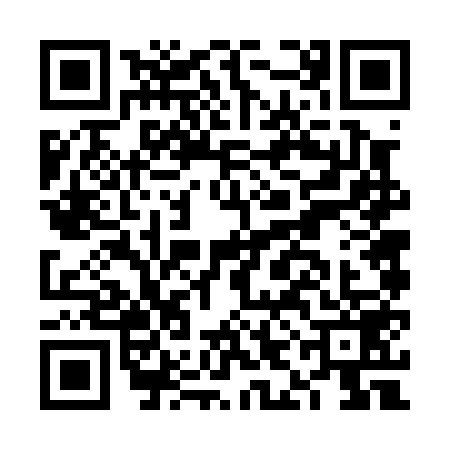 QR code for FIF0595