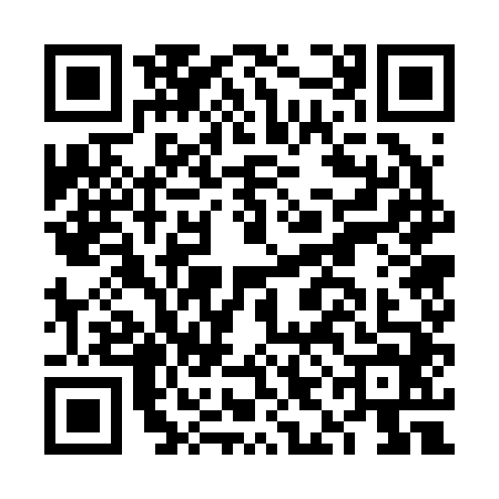 QR code for FIG2446
