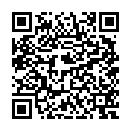 QR code for FIS4533