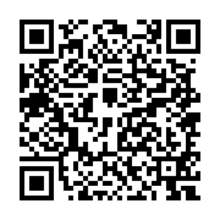 QR code for FIZ5919