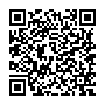 QR code for FIZ8955