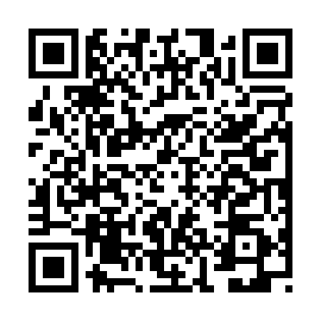 QR code for FJG0509