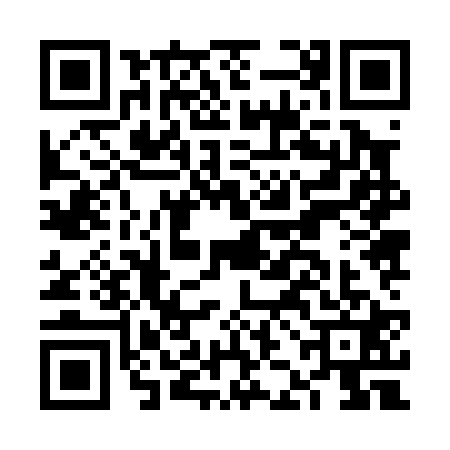 QR code for FJJ0217