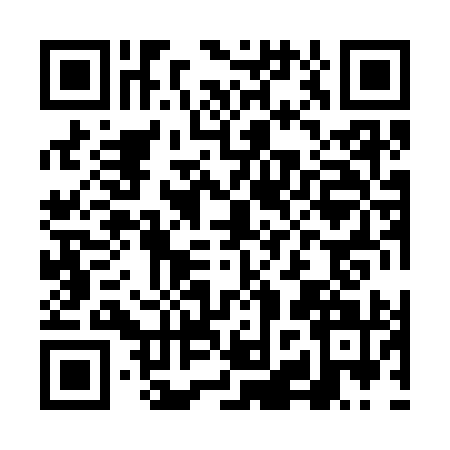 QR code for FJX3911