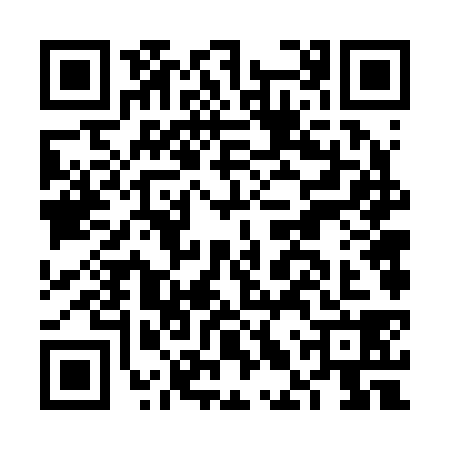 QR code for FLV2381
