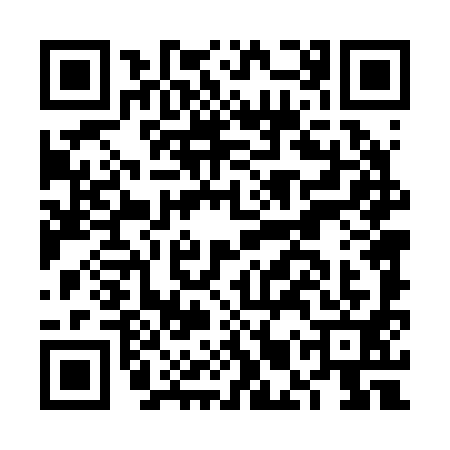 QR code for FMT2919