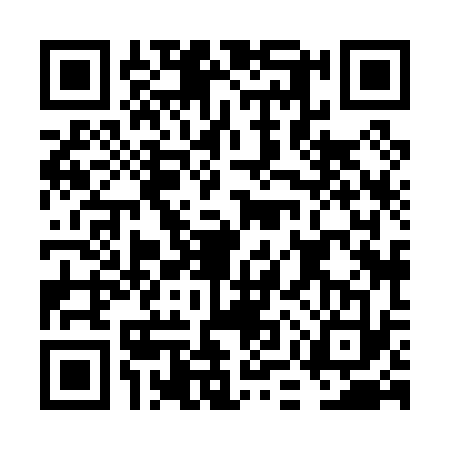 QR code for FMX0333