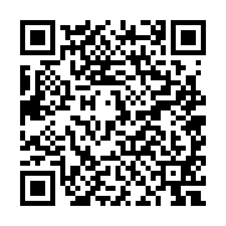 QR code for FNG3911
