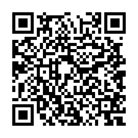 QR code for FSD0049