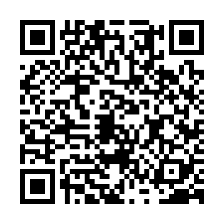 QR code for FSV3294