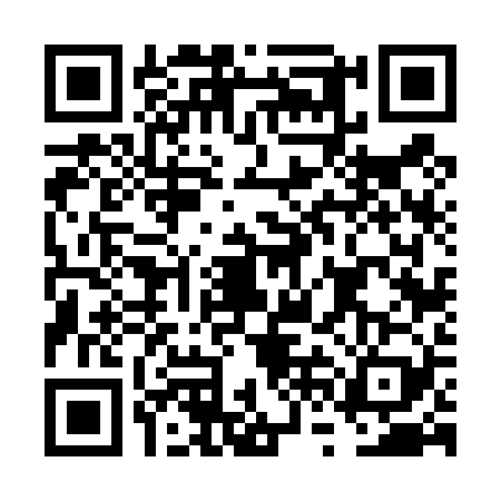 QR code for FVF4295