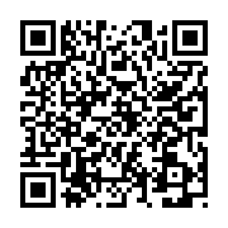 QR code for FVX6538