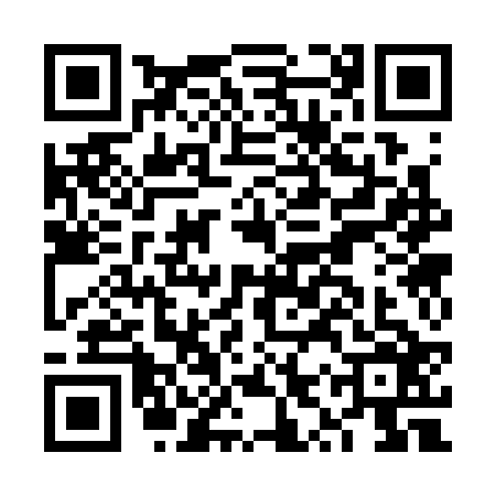 QR code for FYS3261