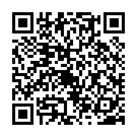 QR code for FZB0296