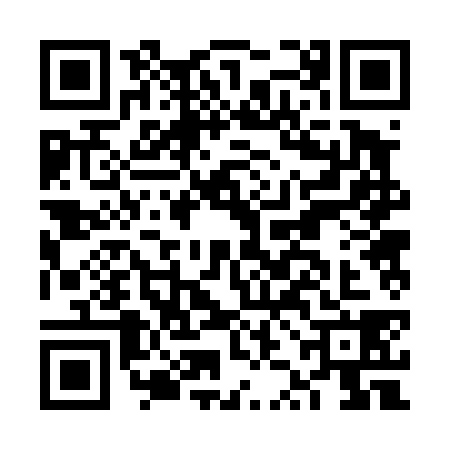 QR code for FZB4387