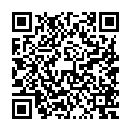 QR code for FZD9491