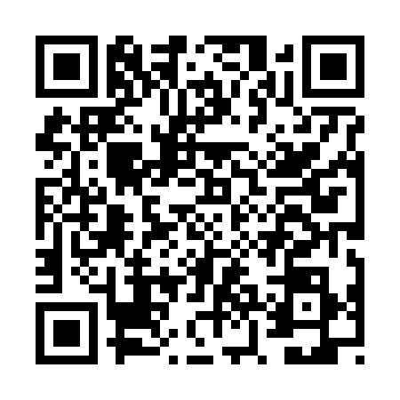 QR code for FZH6389