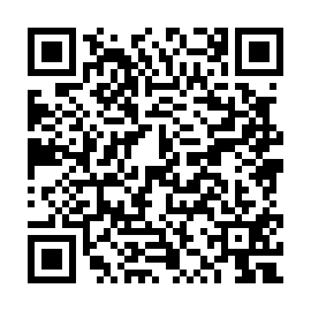 QR code for FZX0119