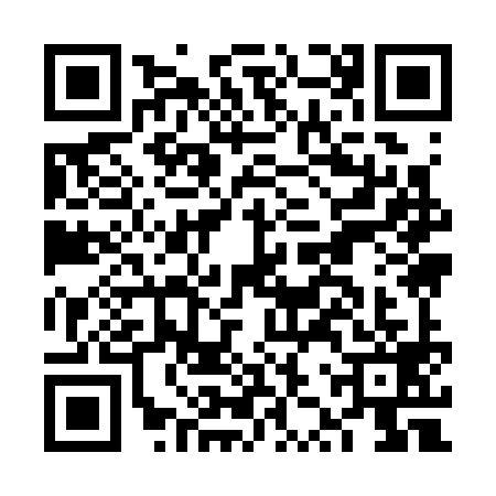 QR code for FZY3994