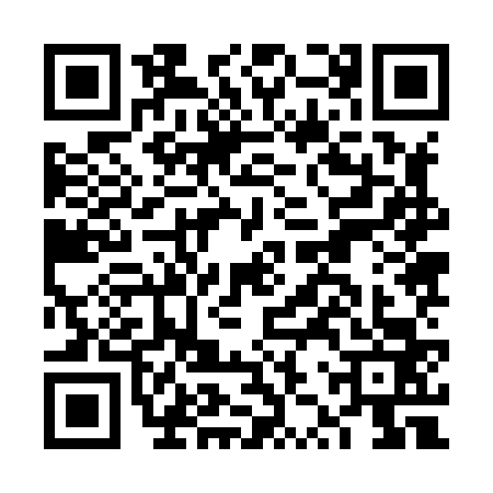 QR code for FZZ8631