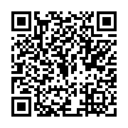 QR code for GAE6313