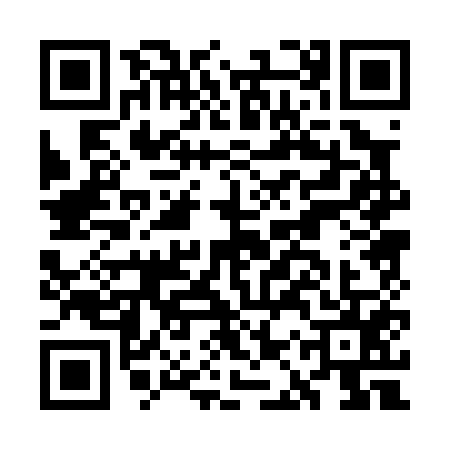 QR code for GAP0553