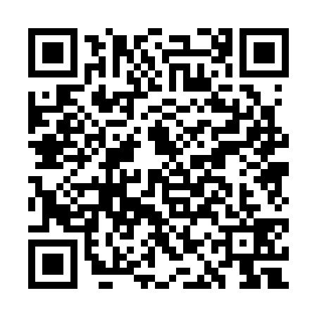 QR code for GAP3396