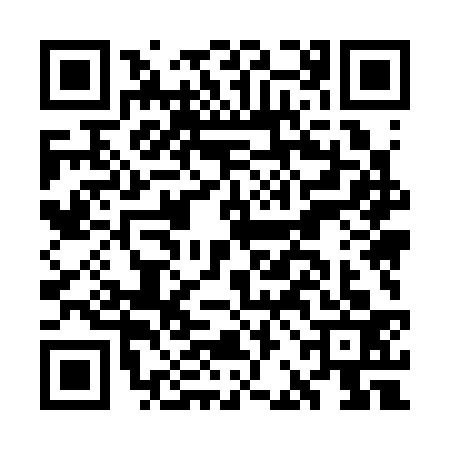 QR code for GBM3333