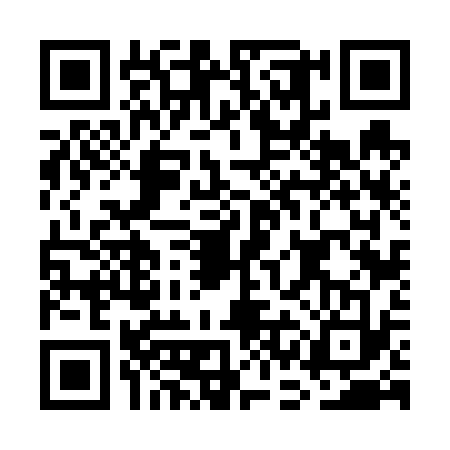 QR code for GCF6338