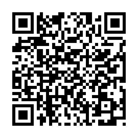 QR code for GFX3310