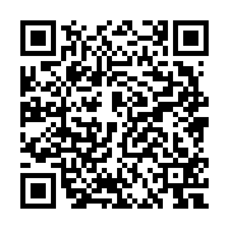 QR code for GFX6133