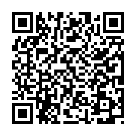 QR code for GHO4919