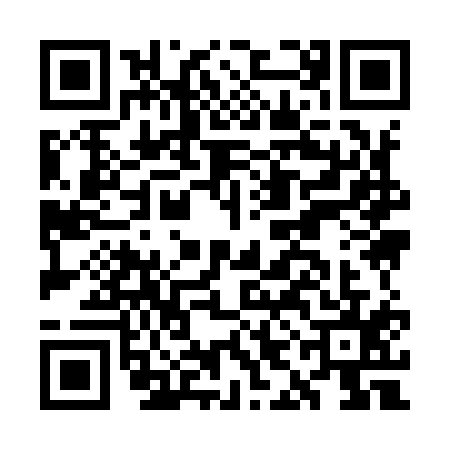 QR code for GII9156