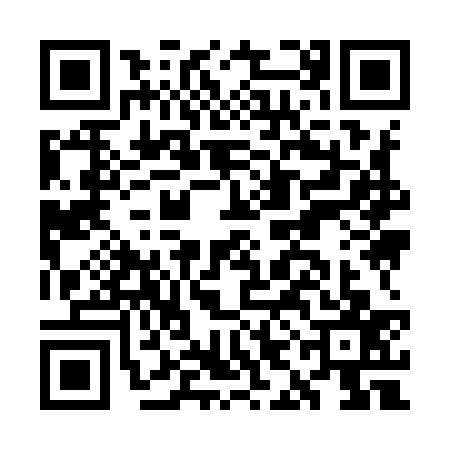 QR code for GII9371
