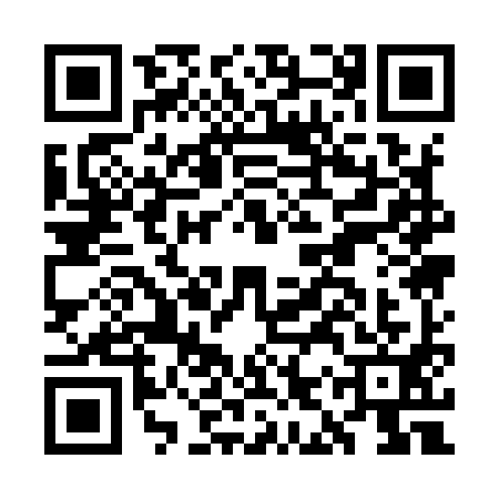 QR code for GIQ9919