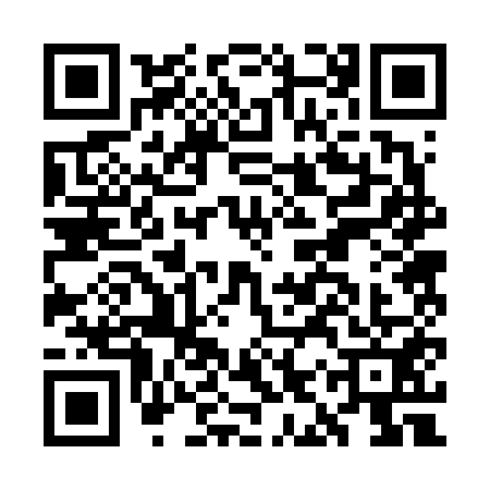 QR code for GIR6511