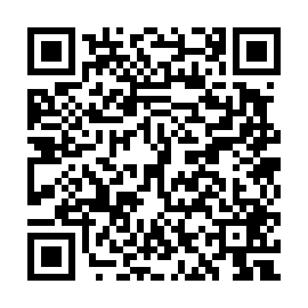 QR code for GIS4497