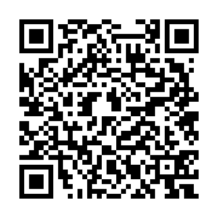 QR code for GMR6313