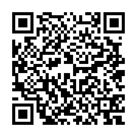 QR code for GOE0313
