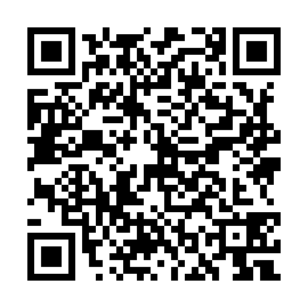 QR code for GOY9382