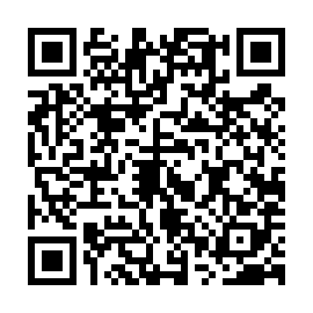 QR code for GPT4881