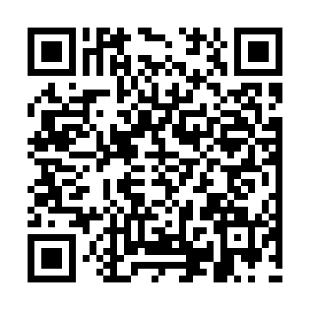 QR code for GPV0411