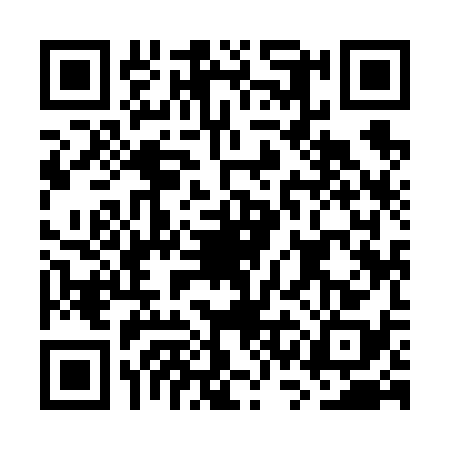 QR code for GSI6382