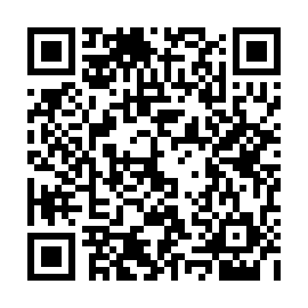 QR code for GUI2341