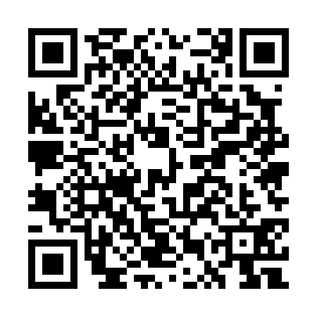 QR code for GUU0313