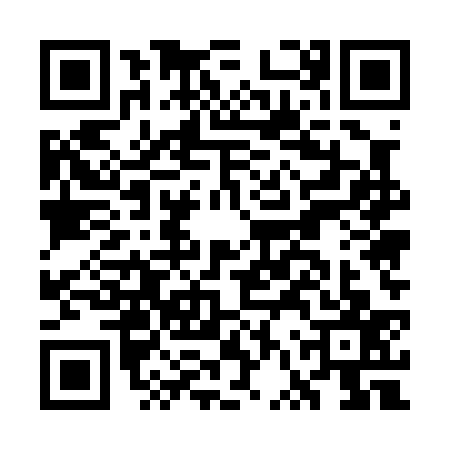 QR code for GVU0370