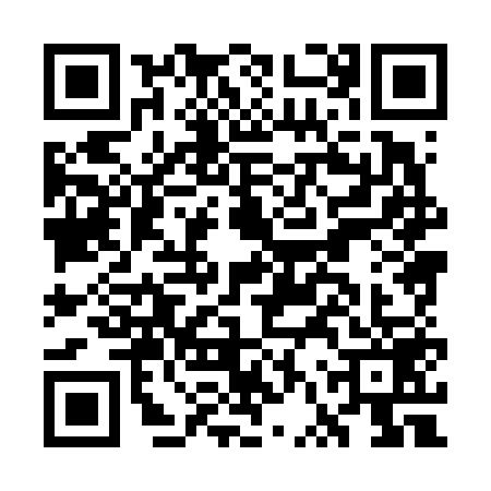QR code for GVX6597