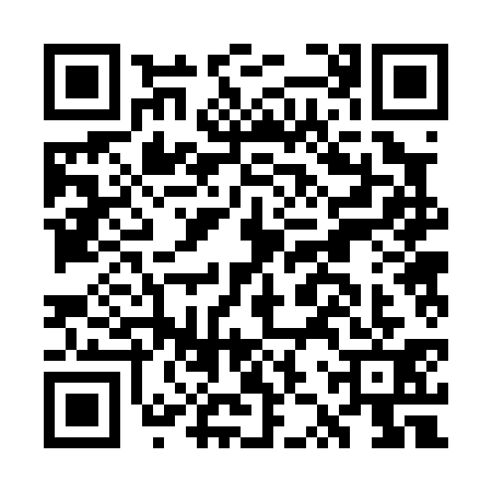 QR code for GZR0313