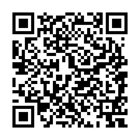 QR code for HAN2905